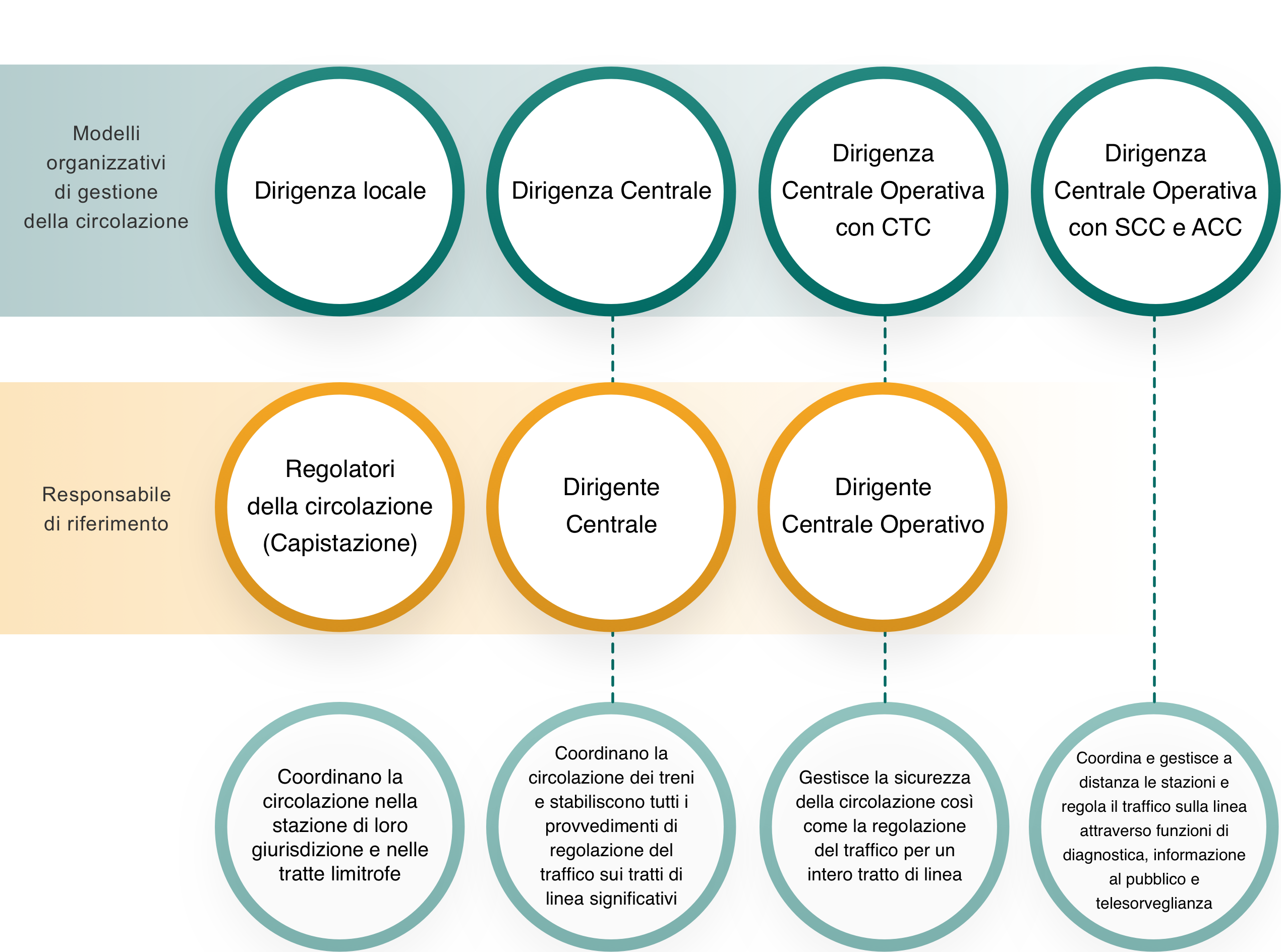 organigramma modelli organizzativi della gestione della circolazione