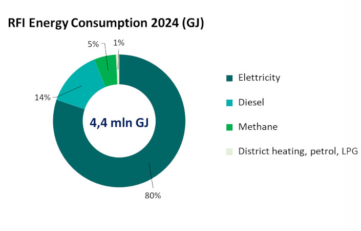 graph of amount of RFI total energy consumption by type 2024